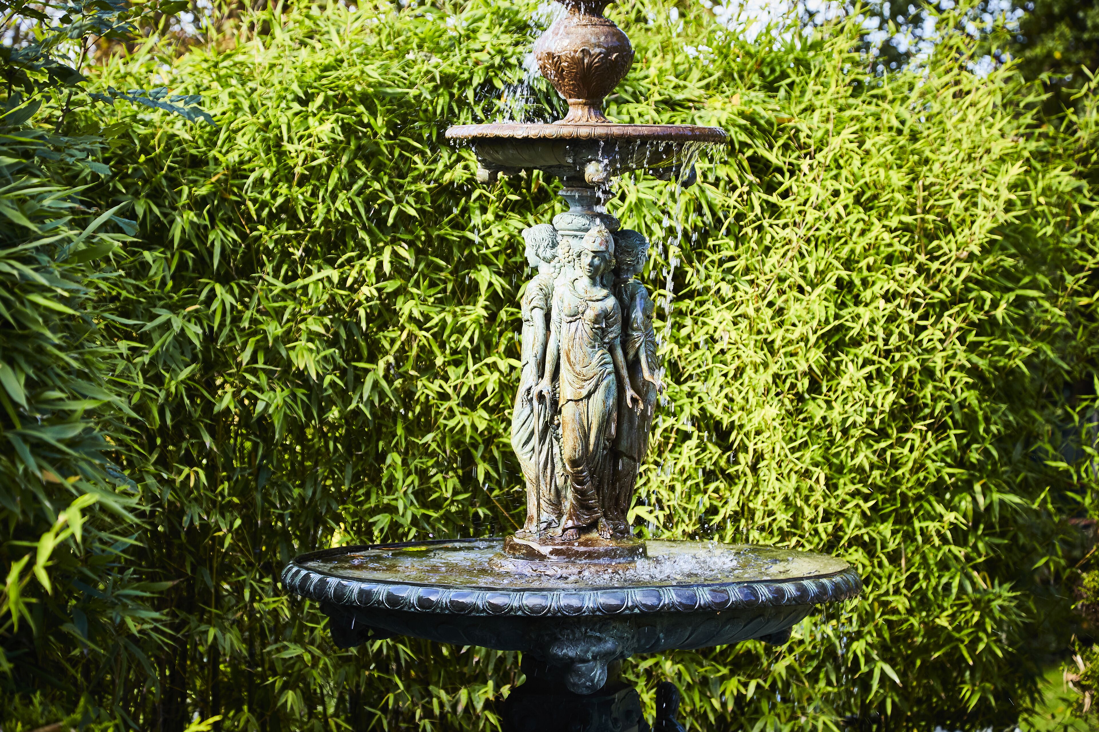 Photo - Killarney Randles Hotel