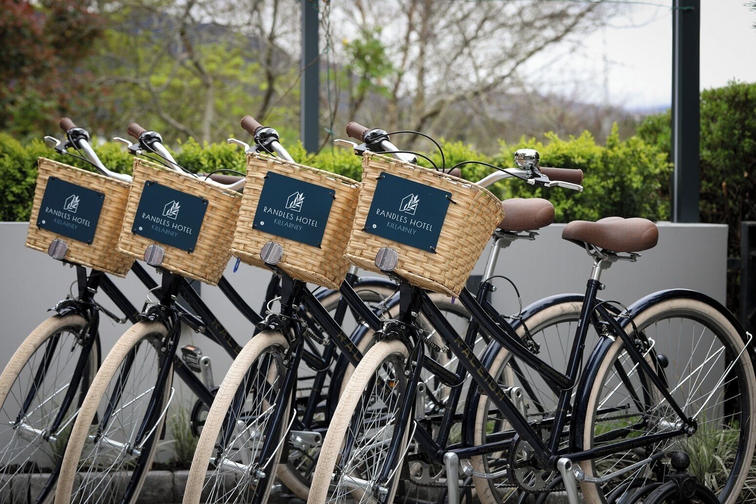 Photo - Killarney Randles Hotel