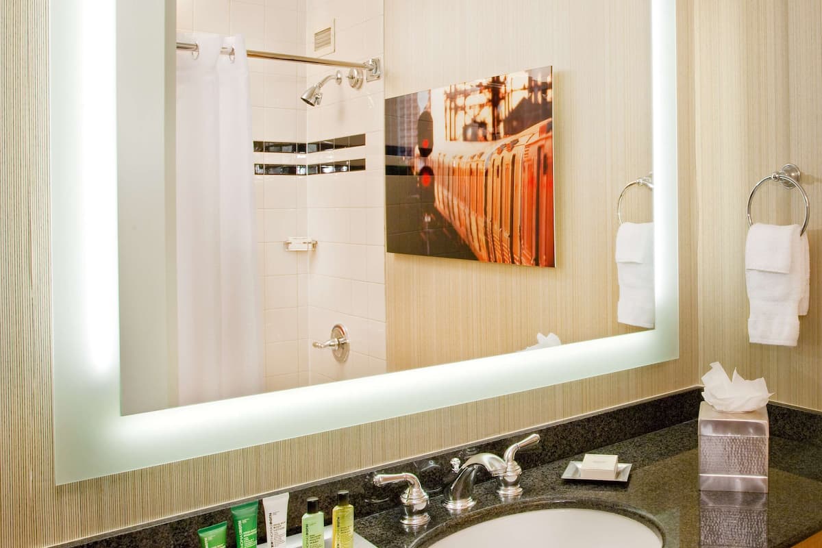 combined shower/bathtub, free toiletries, hair dryer, towels