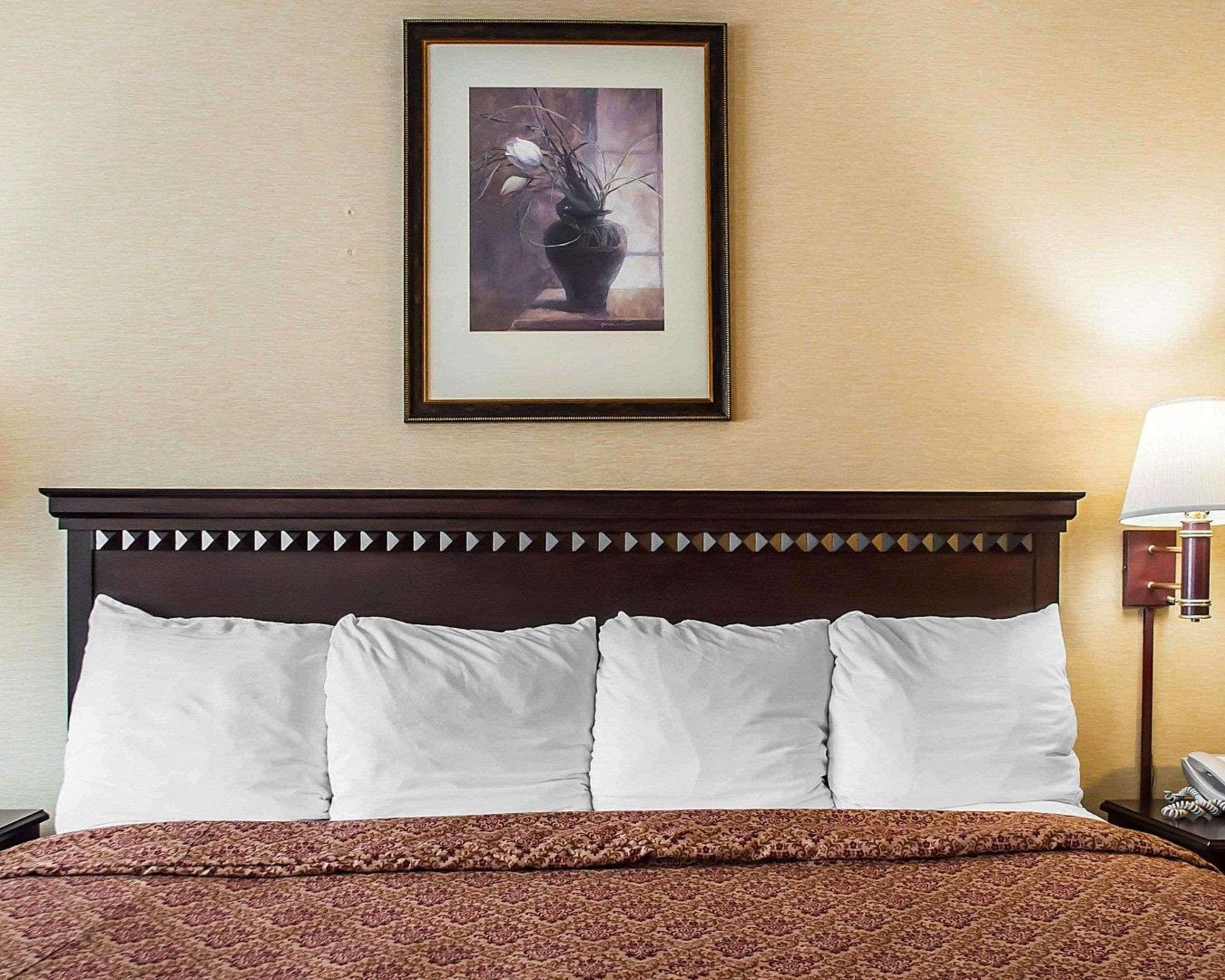 A hotel room with a large bed, a framed picture on the wall, and a bedside lamp.