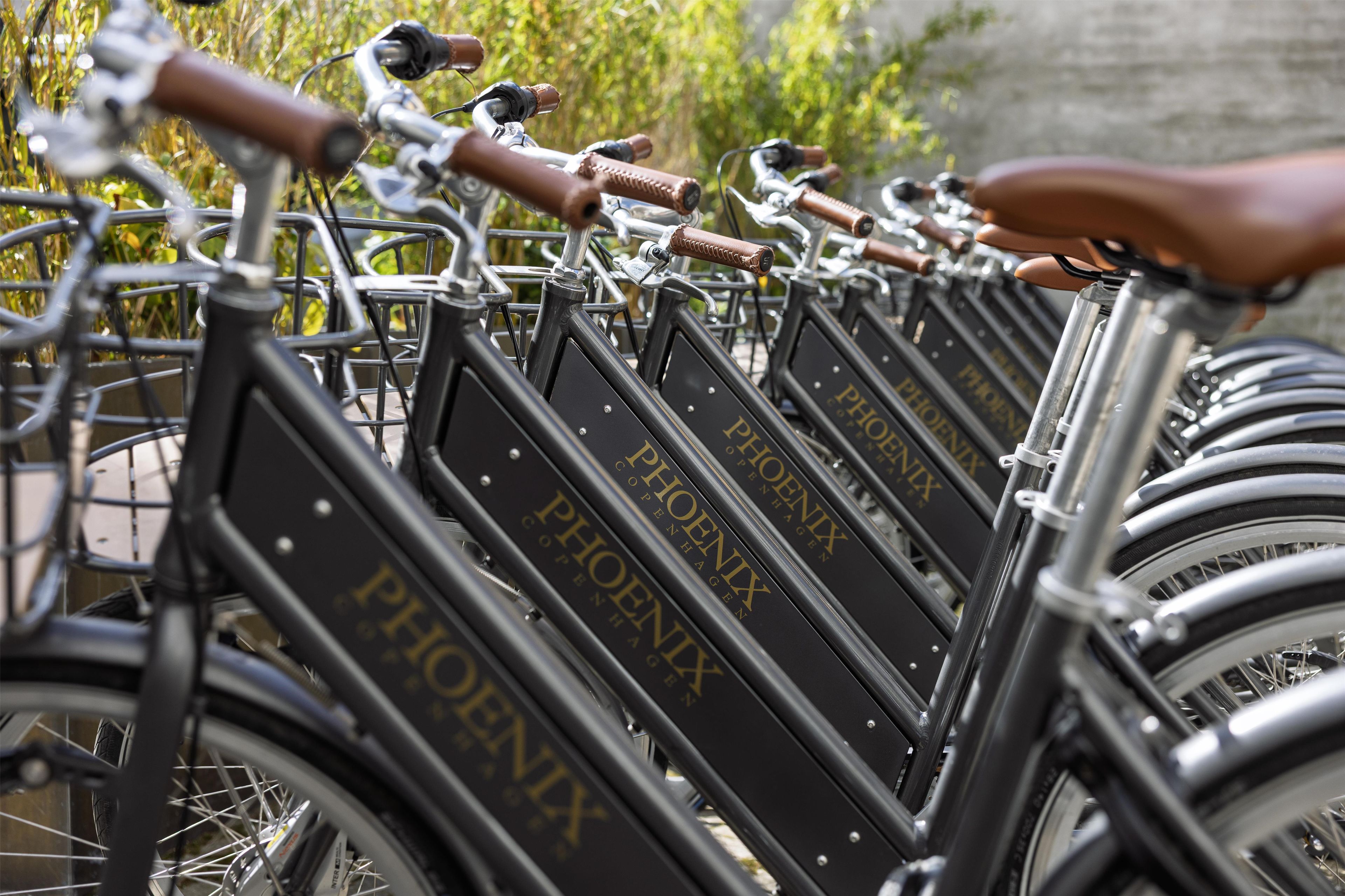 Una hilera de bicicletas con la marca 'PHOENIX', equipadas con sillines de cuero y armazones metálicos, estacionadas al aire libre.