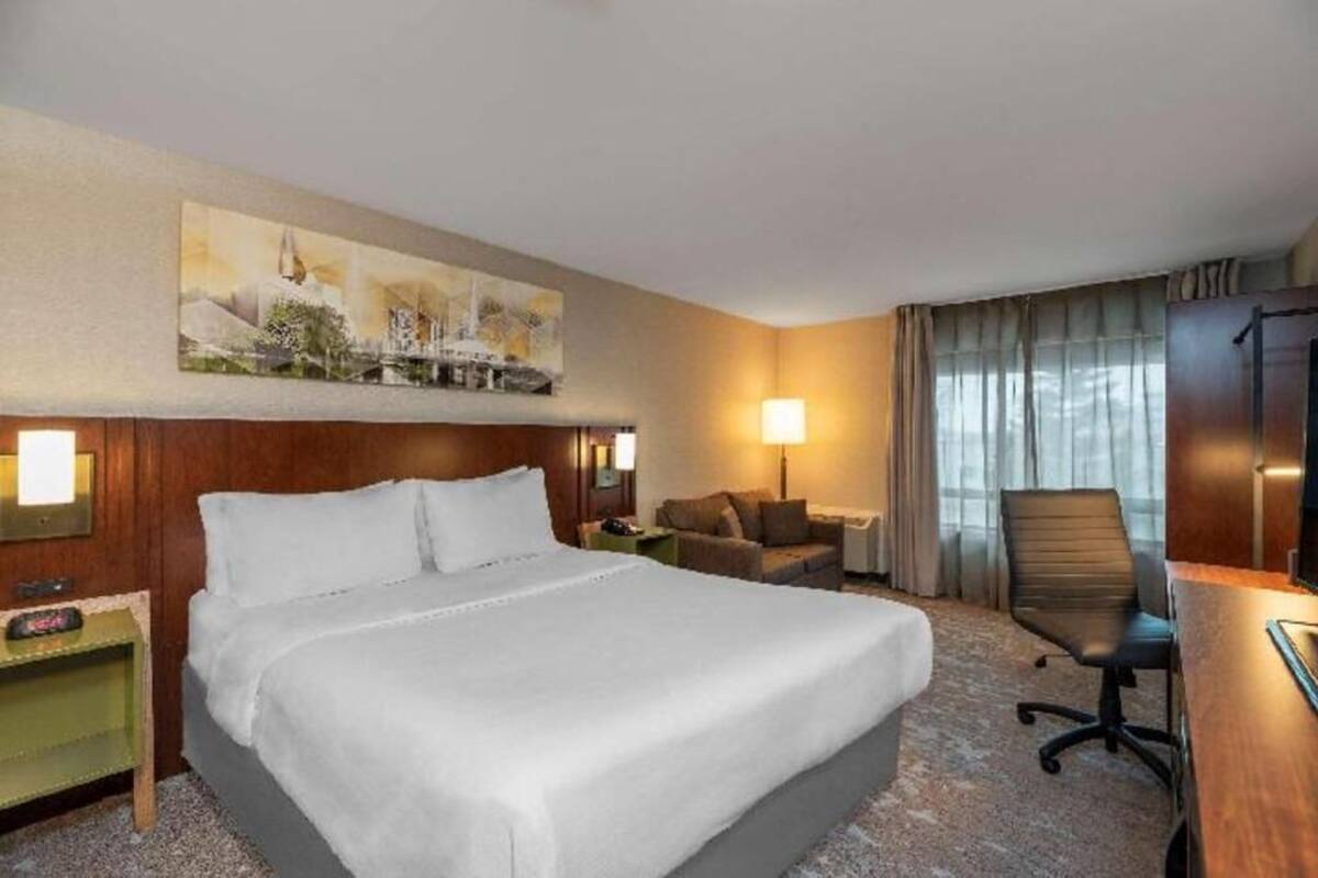 Habitación de hotel con una cama grande, un escritorio, una silla, un sofá, un cuadro en la pared y una ventana con cortinas.
