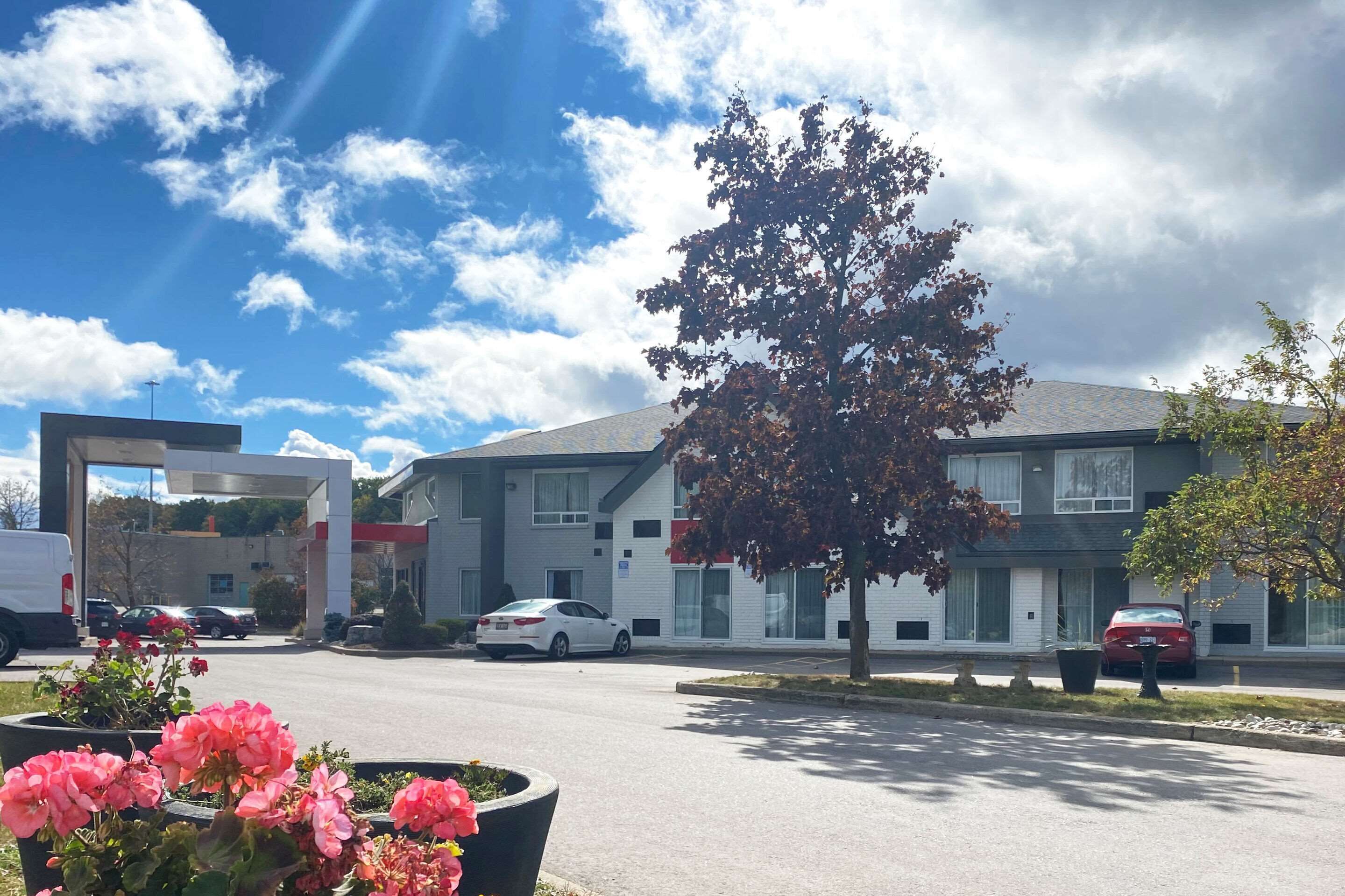 Un bâtiment moderne avec un parking, une station-service et un arbre au premier plan.