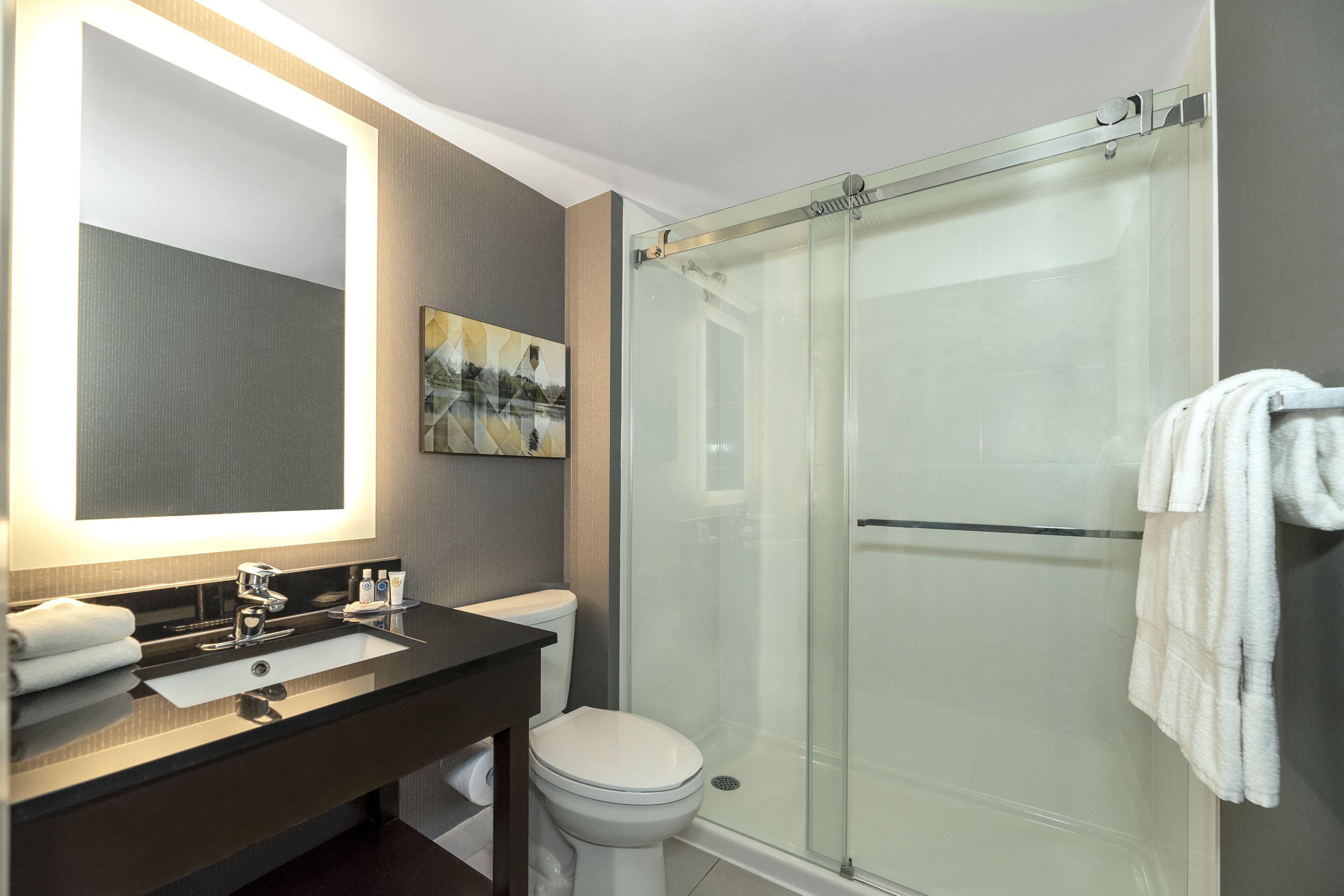 ของใช้ในห้องน้ำเป็นมิตรต่อสิ่งแวดล้อม, ไดร์เป่าผม, ผ้าเช็ดตัว