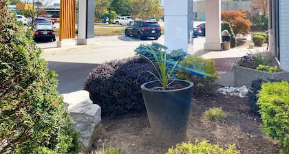 Comfort Inn Cambridge