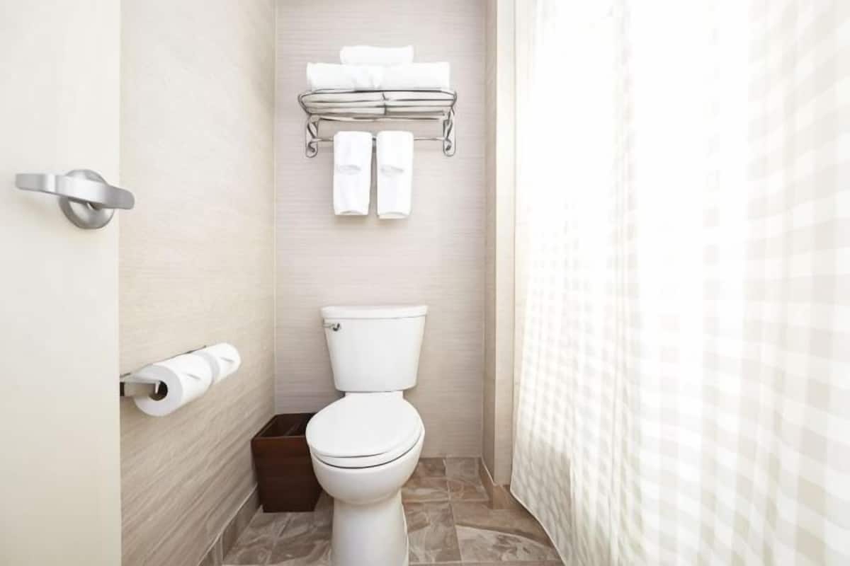 Bathroom | Eco-friendly toiletries, hair dryer, towels, soap