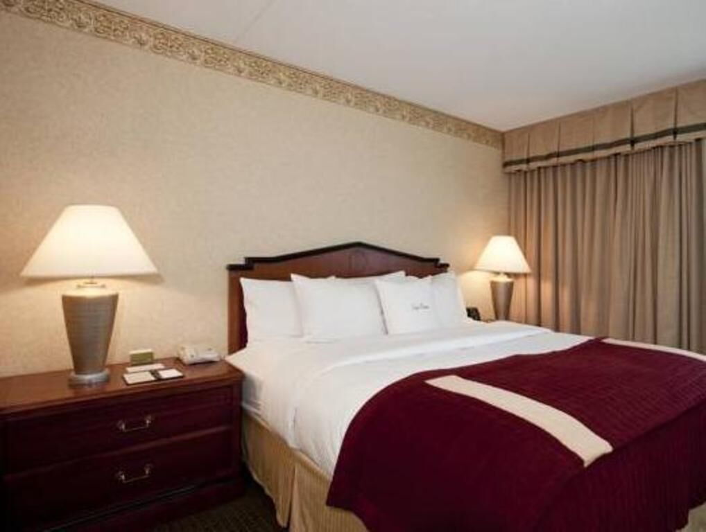 Literie de qualité supérieure, couette en duvet d'oie, surmatelas