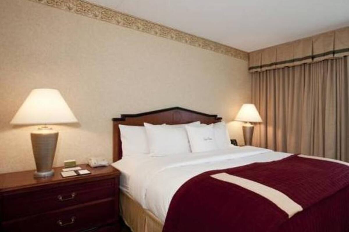 Literie de qualité supérieure, couette en duvet d'oie, surmatelas