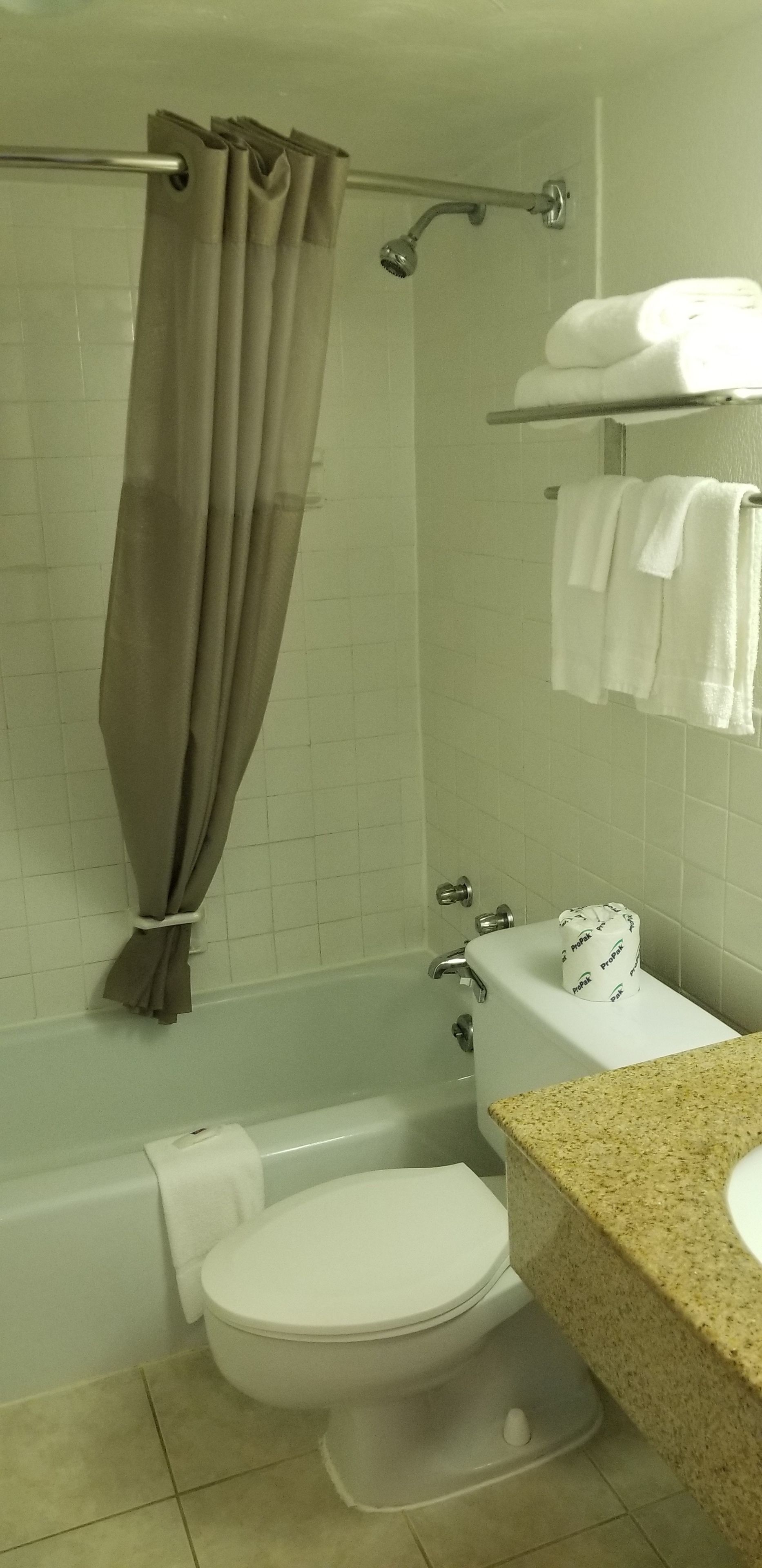 Bañera con ducha, artículos de tocador gratuitos, toallas