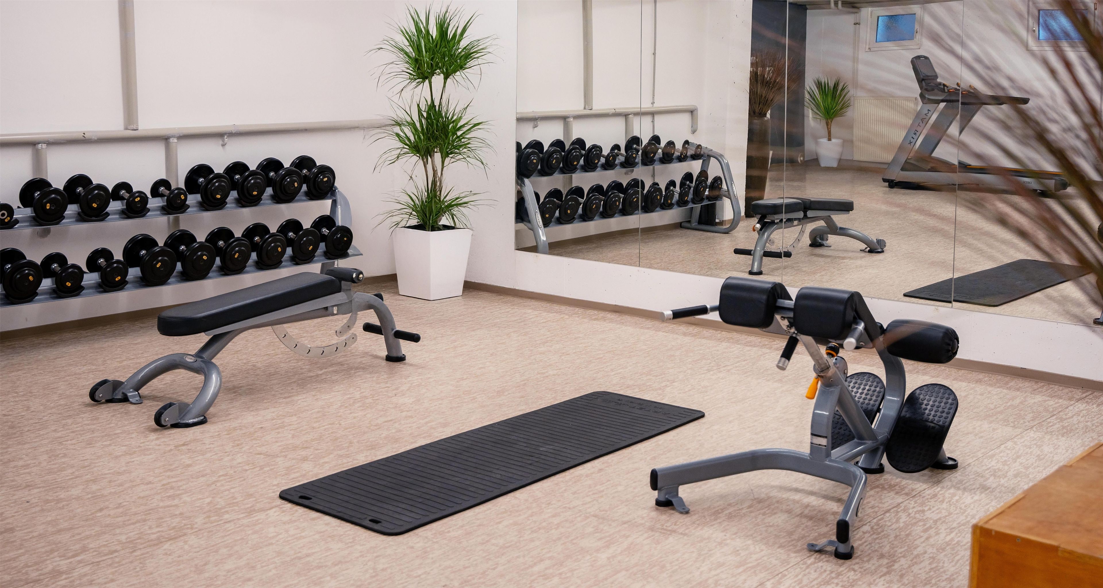 Une salle de sport équipée de matériel d’exercice, d’un banc, d’un miroir et d’une plante en pot.