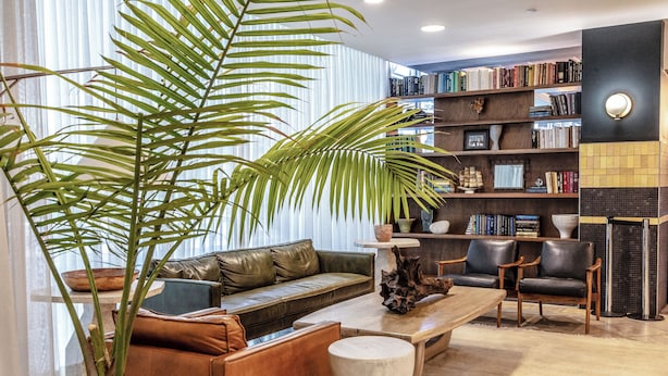 Un saló modern amb un sofà de cuir, una taula de centre, una prestatgeria i una planta gran en test.