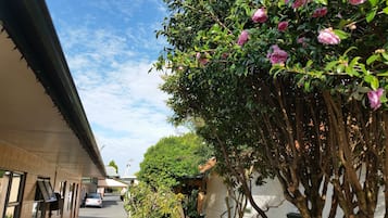 花園