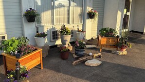A front yard with various potted plants and a wooden bench.