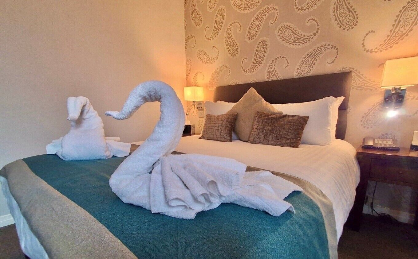 A hotel room with a bed, a nightstand, and a lamp.