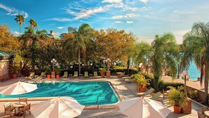 A pool area with lounge chairs and umbrellas, surrounded by palm trees and potted plants. - Westin Tampa Downtown Waterside (Tampa)