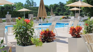 Seasonal outdoor pool, pool umbrellas, pool loungers