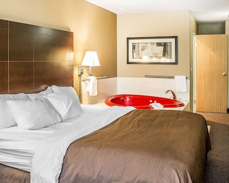 Free WiFi, alarm clocks. Quality Inn & Suites Sturgeon Bay