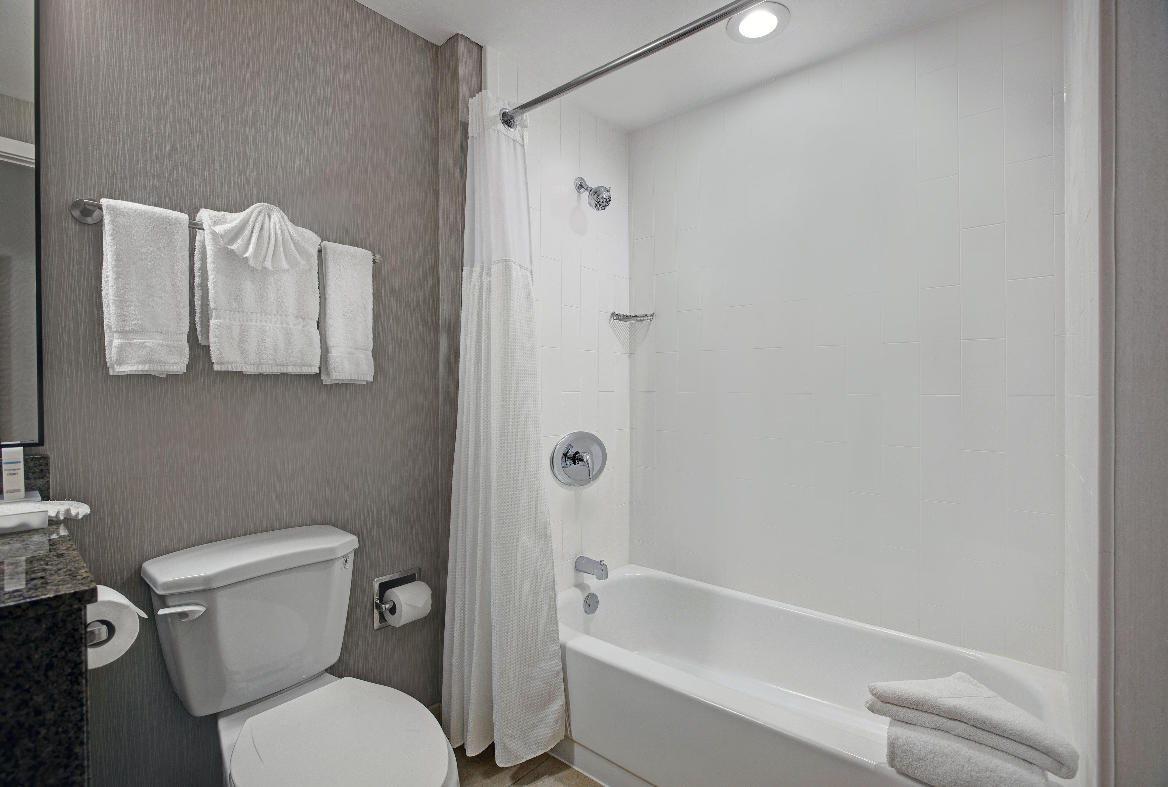 A bathroom with a toilet, a bathtub, and a shower curtain.