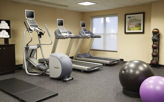 Uma academia com esteiras, bicicleta ergométrica e bolas de exercício.