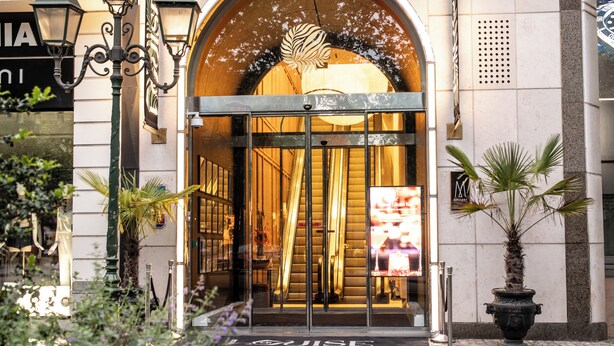 Entrada de hotel con puerta de vidrio, una palmera y un letrero sobre la puerta.