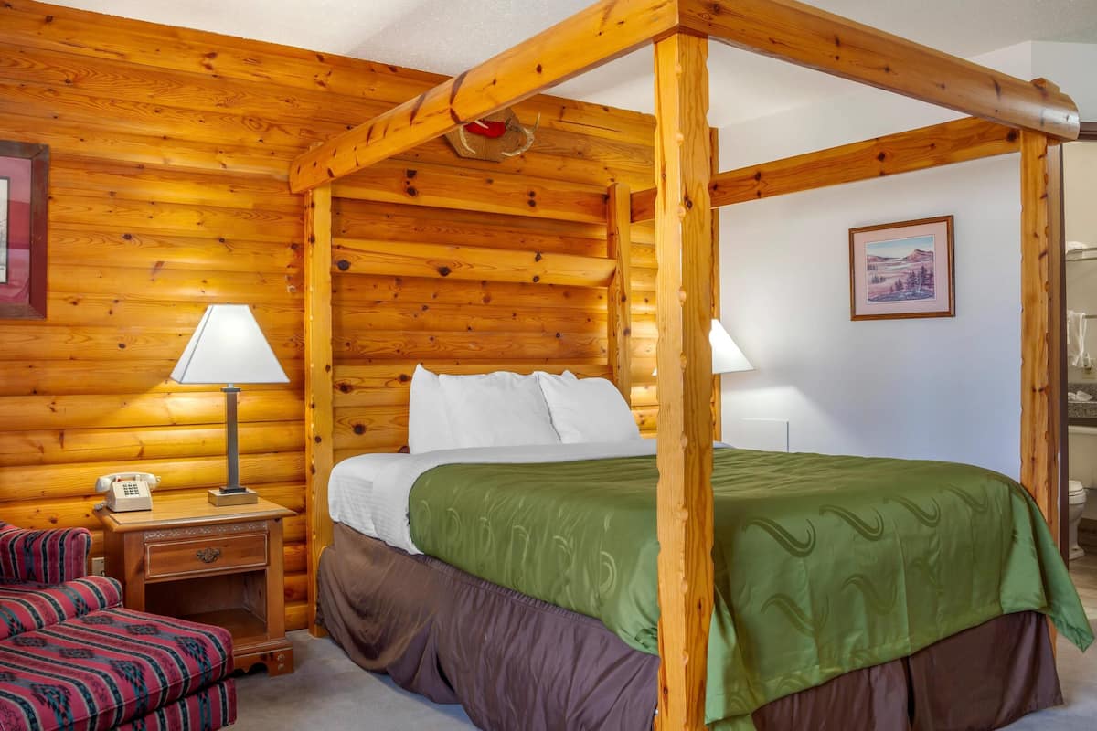 Room, 1 Queen Bed, Non Smoking | Desk, blackout drapes, iron/ironing board, free WiFi