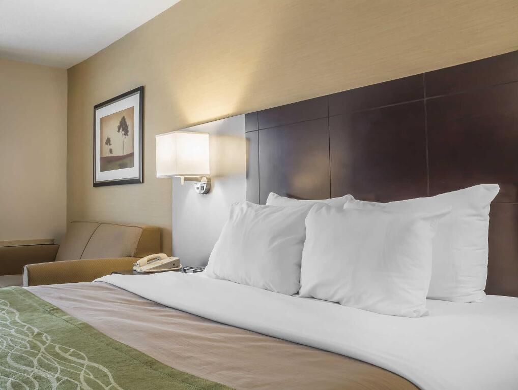 Premium bedding, desk, blackout drapes, iron/ironing board