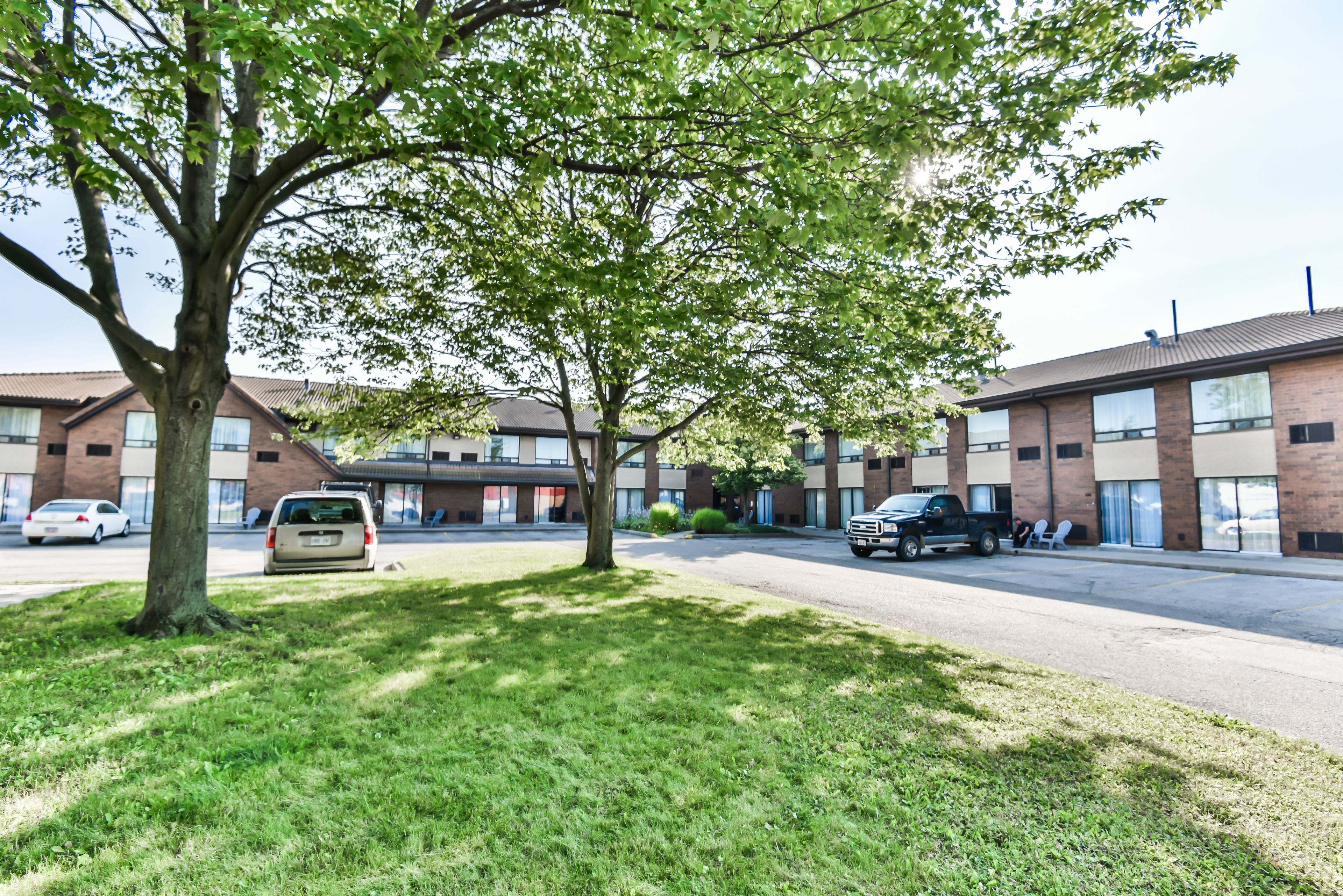 A parking lot with a tree and a building with multiple windows and doors.