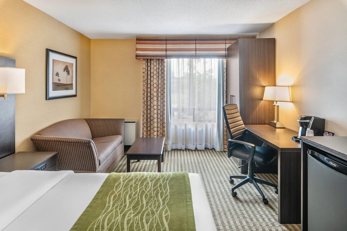 A hotel room with a bed, a desk, a chair, a sofa, a lamp, and a picture on the wall.