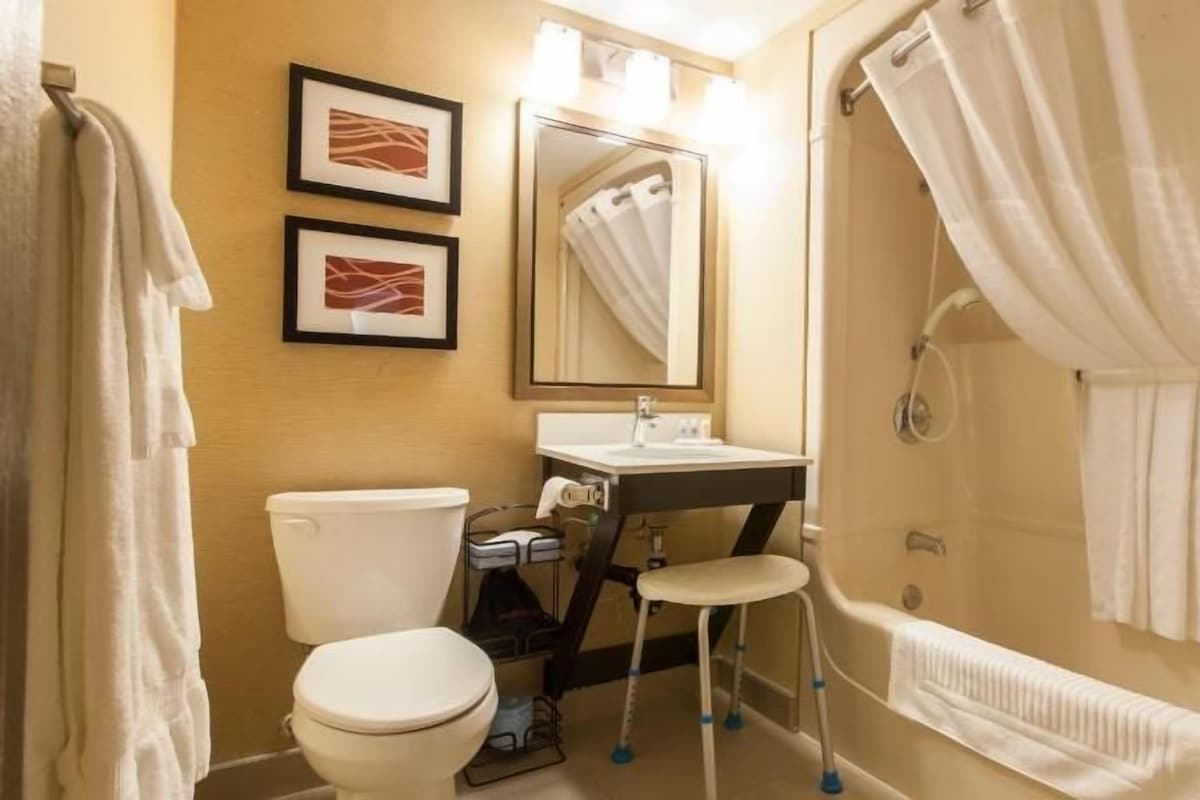 A bathroom with a toilet, sink, shower, and a wheelchair-accessible stool.