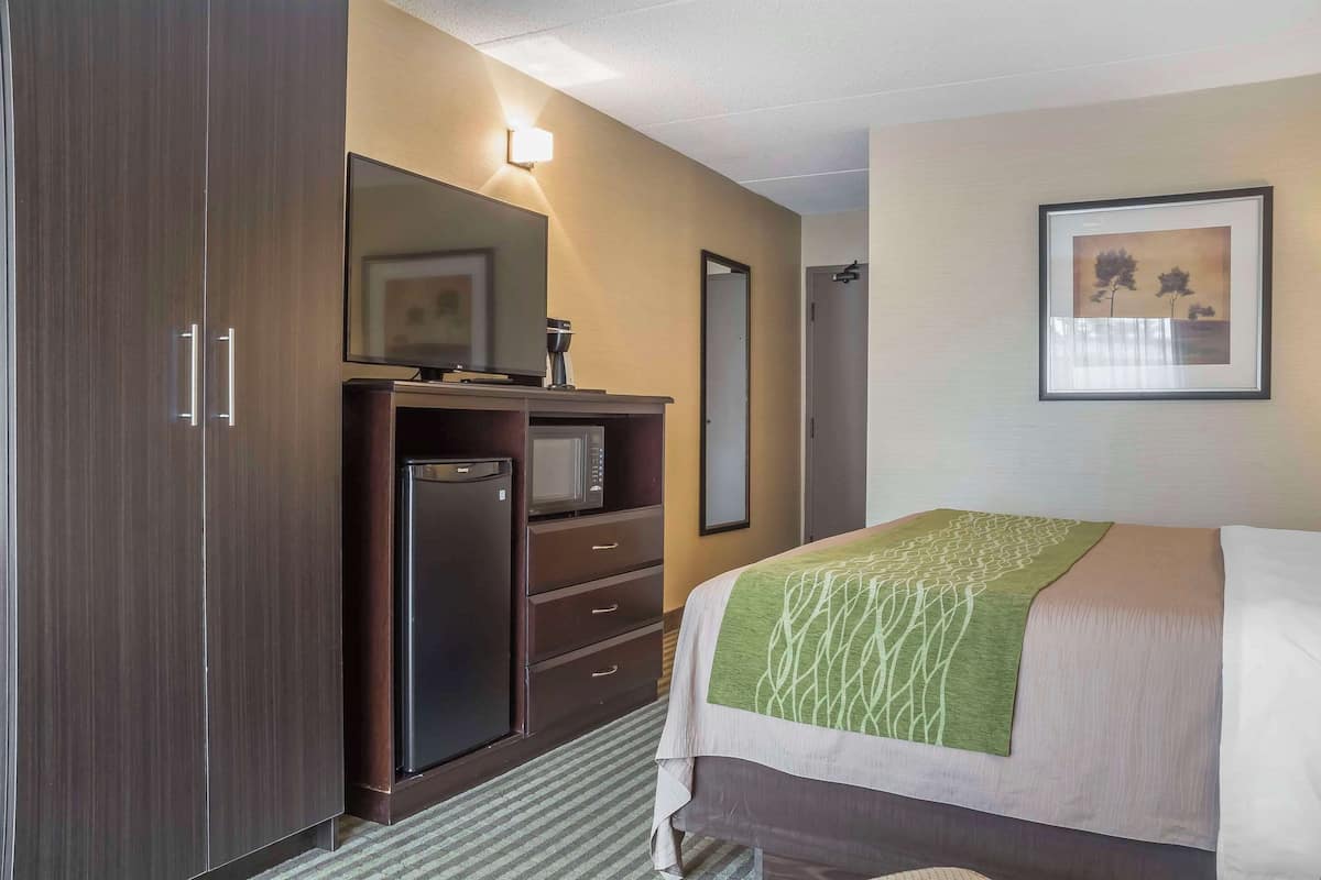 Room, 1 King Bed with Sofa bed, Accessible, Non Smoking | Premium bedding, desk, blackout drapes, iron/ironing board