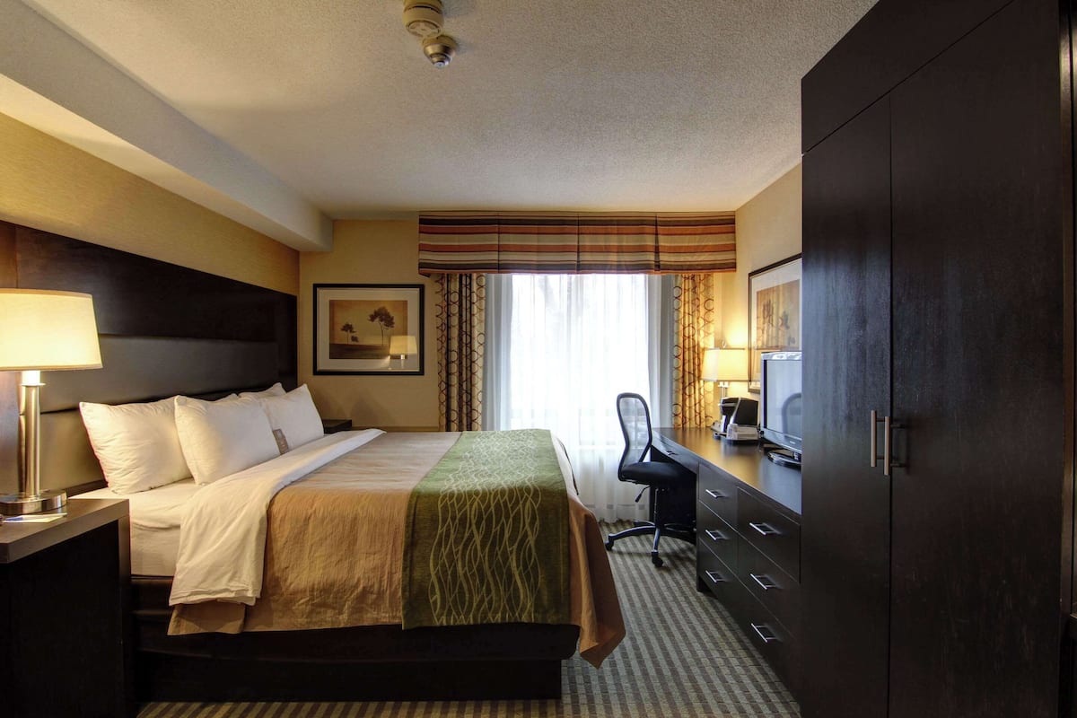 Standard Room, 1 King Bed, Ground Floor | Premium bedding, desk, blackout drapes, iron/ironing board
