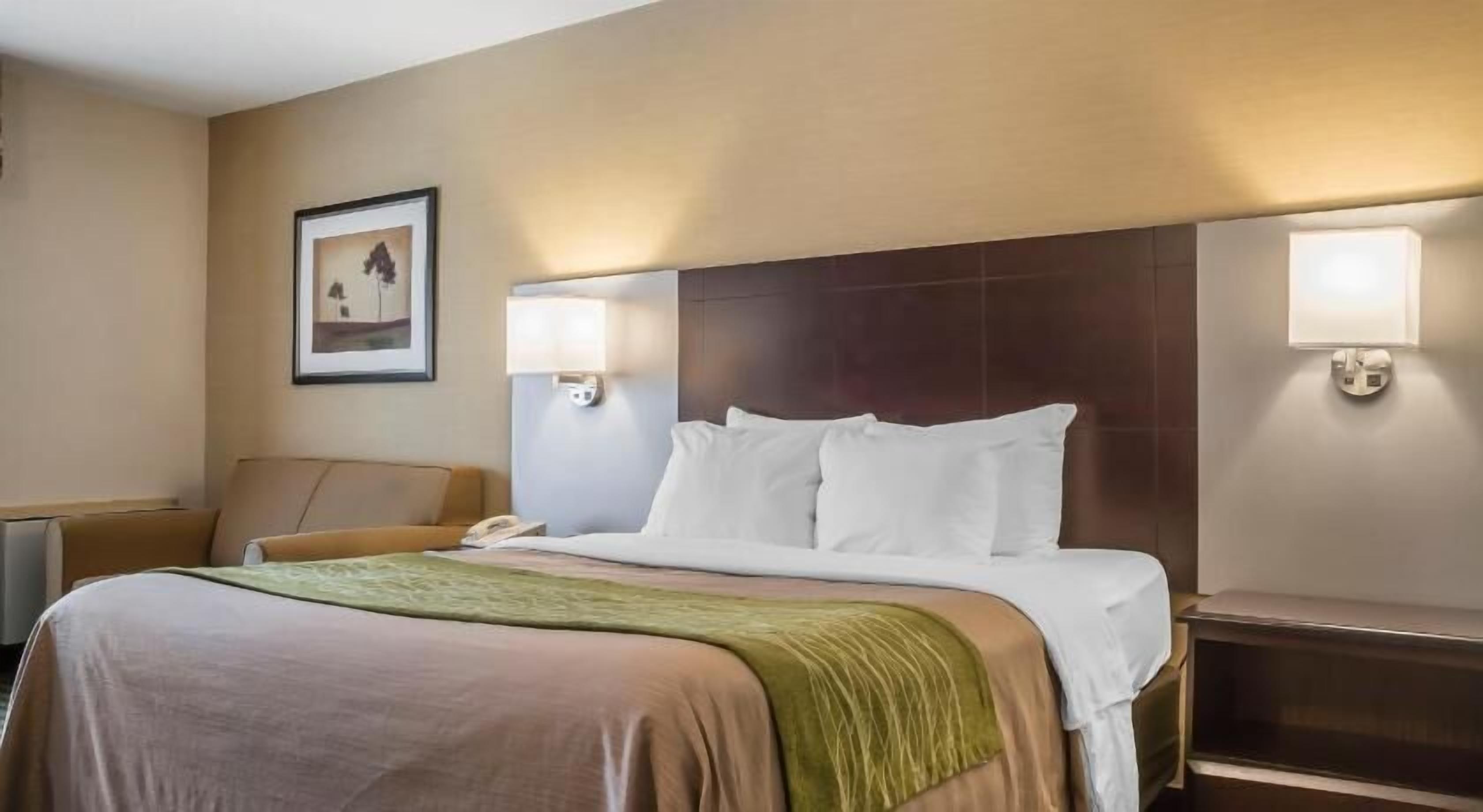 Premium bedding, desk, blackout drapes, iron/ironing board