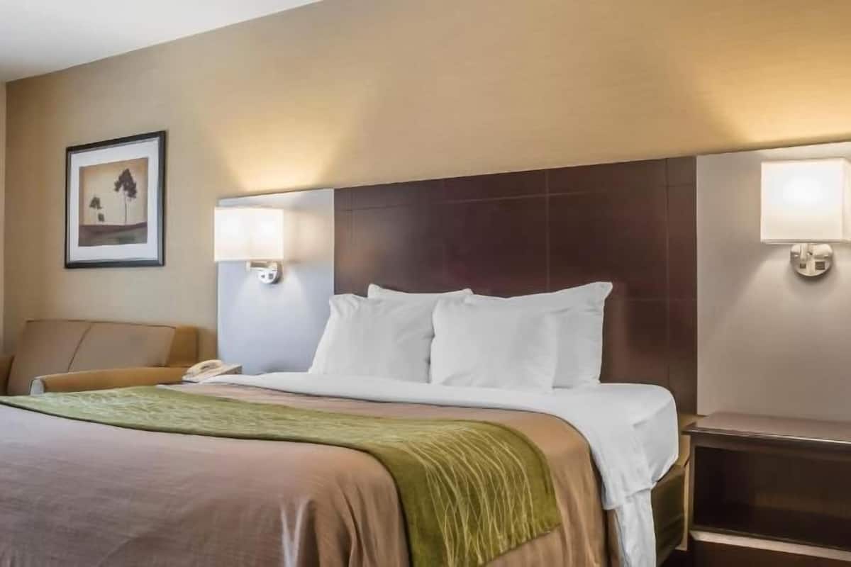 A hotel room with a bed, a nightstand, a lamp, and a framed picture on the wall.