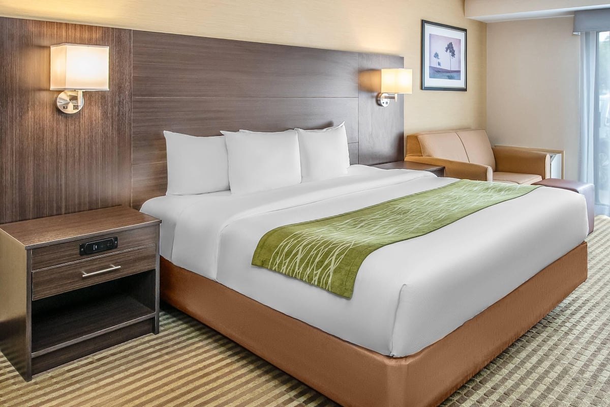Room, 1 King Bed with Sofa bed, Accessible, Non Smoking | Premium bedding, desk, blackout curtains, iron/ironing board