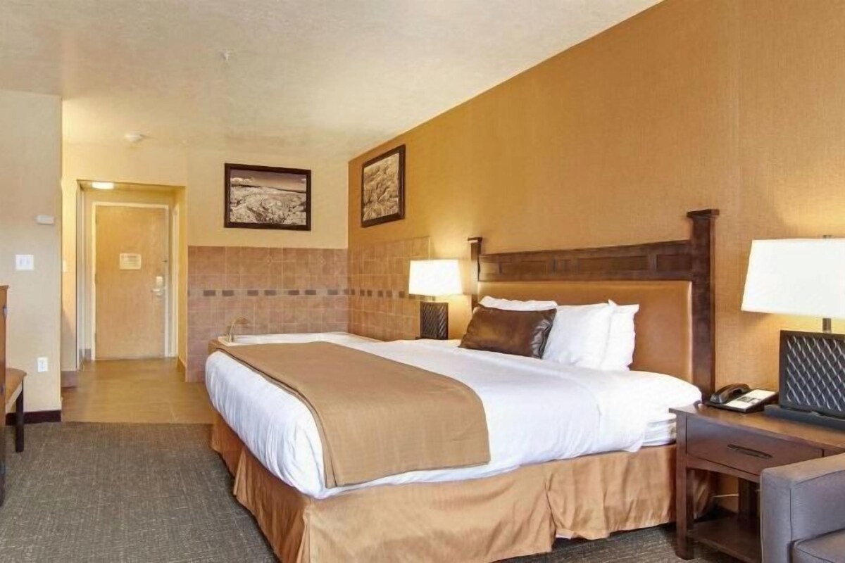 A hotel room with a bed, bedside table, lamp, and a television on a stand.