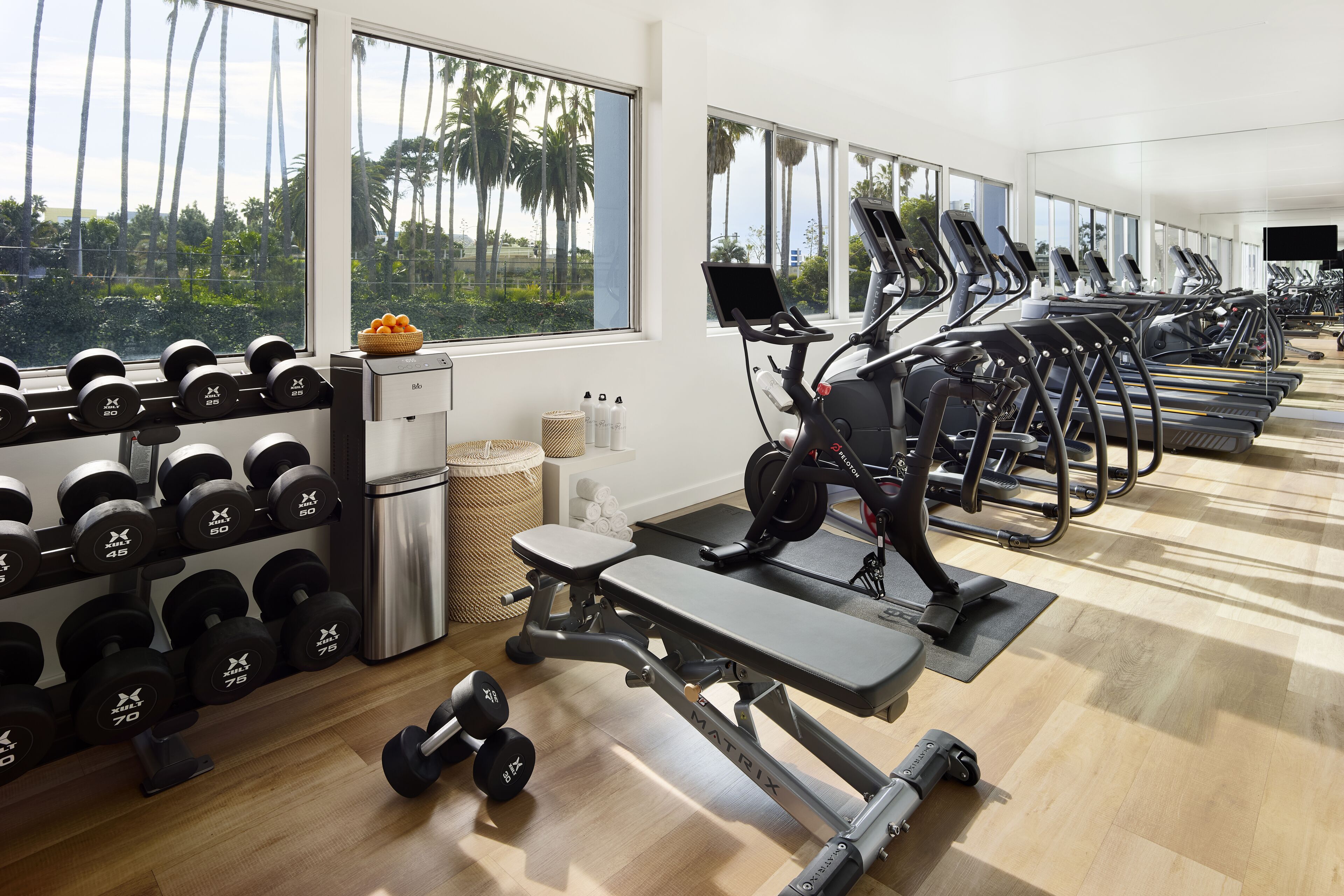 A gym with treadmills, dumbbells, and a bench.