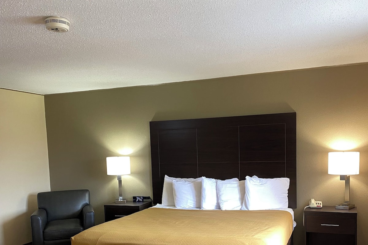 Standard Room, 1 King Bed, Non Smoking | Desk, laptop workspace, iron/ironing board, free WiFi