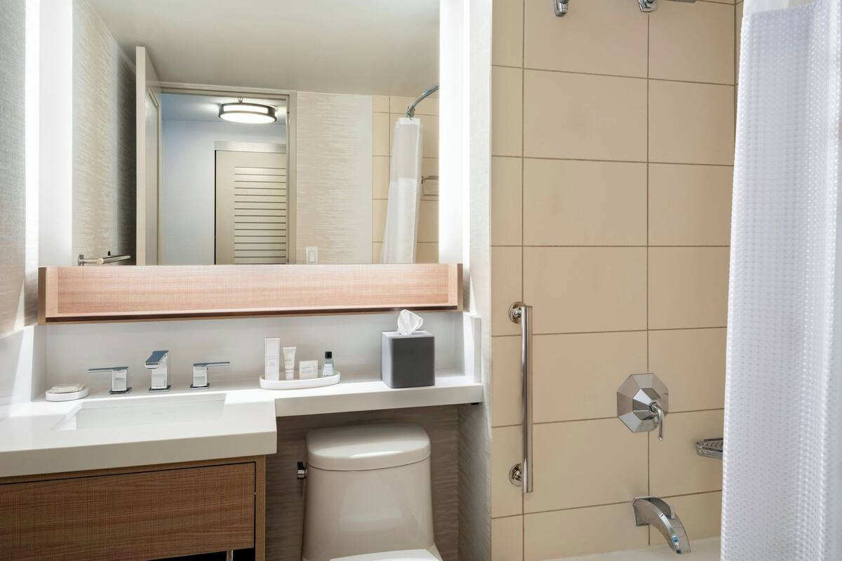 shower, free toiletries, hair dryer, towels