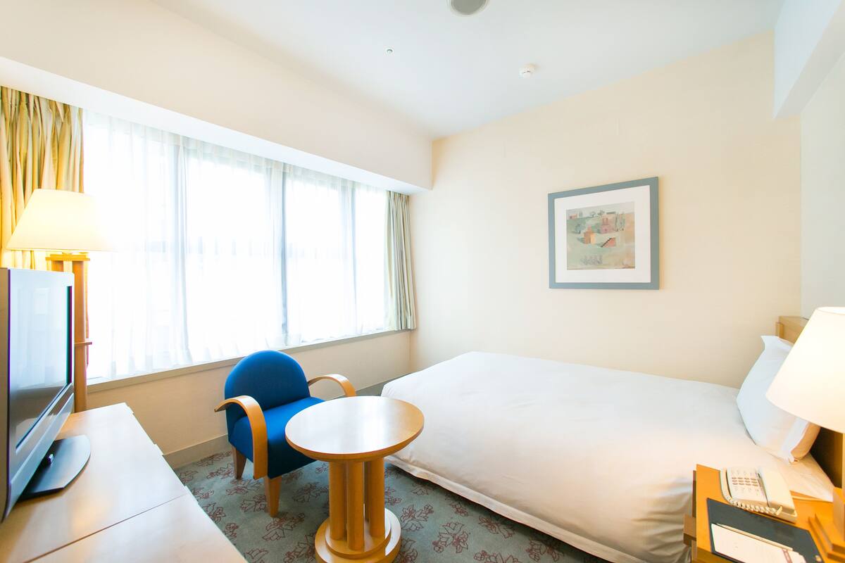 Moderate Single Room | Minibar, iron/ironing board (on request), WiFi (free)
