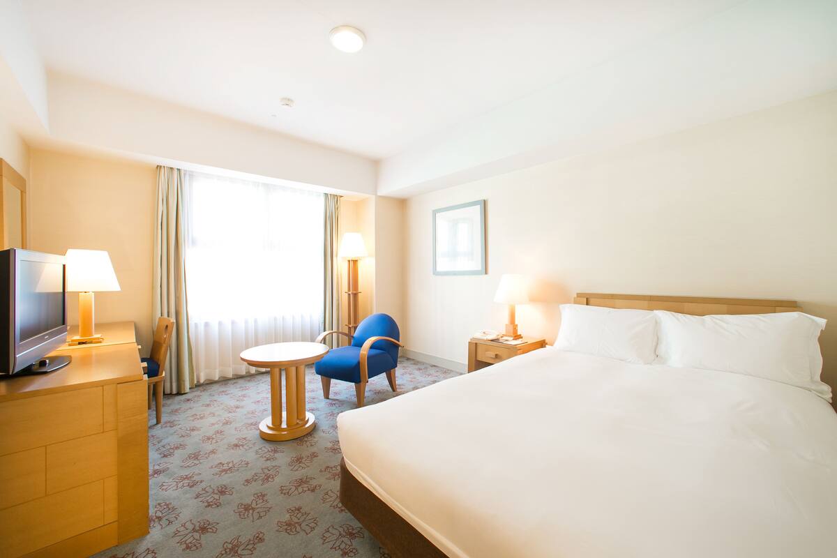 Minibar, iron/ironing board (on request), WiFi (free)