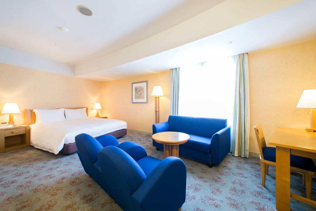Minibar, iron/ironing board (on request), WiFi (free)