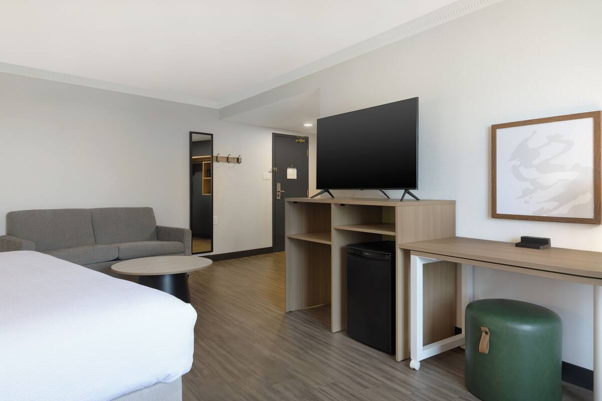 A hotel room with a bed, a sofa, a desk with a television, a trash bin, and a green trash can.