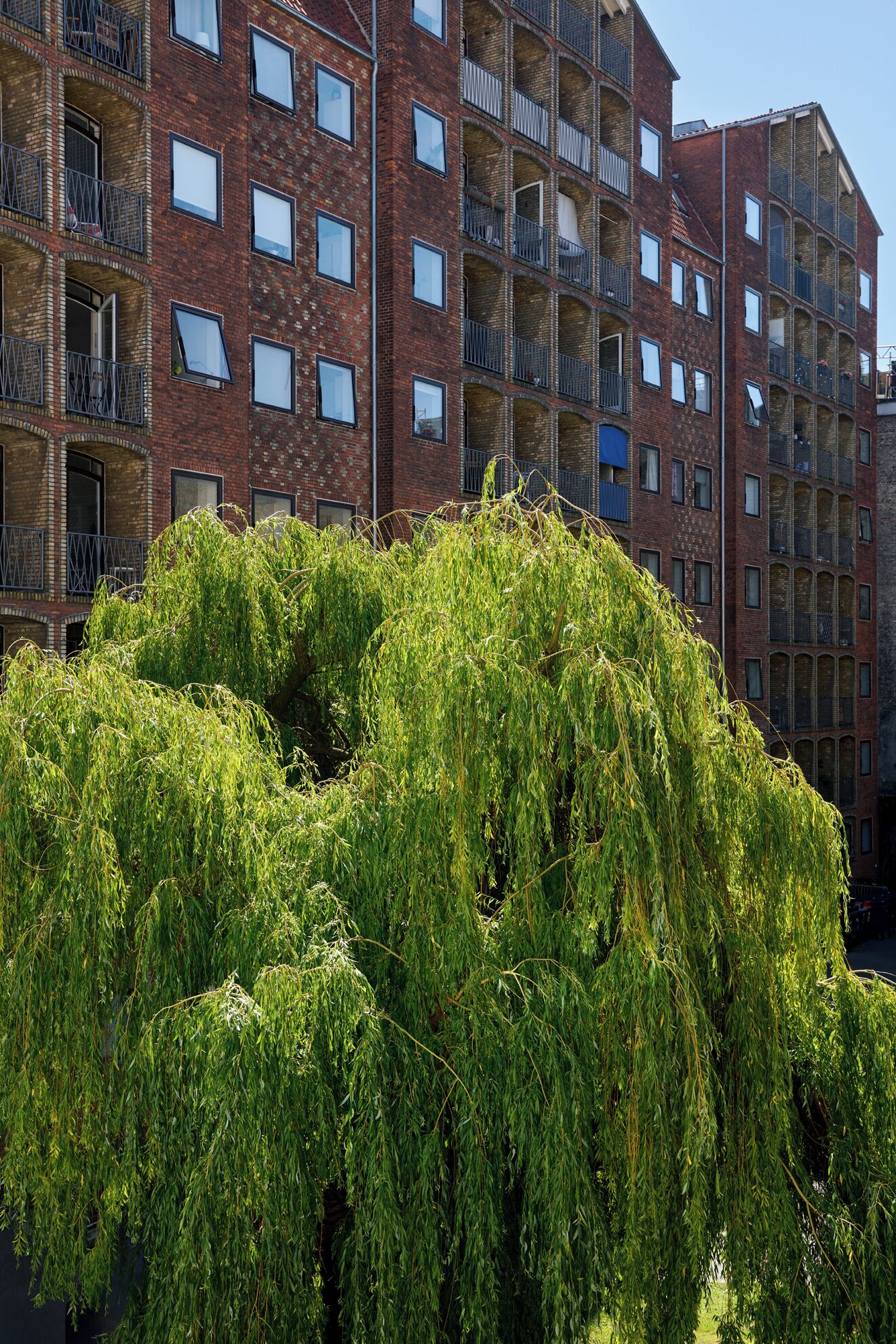 Petra Double | Terrace/patio