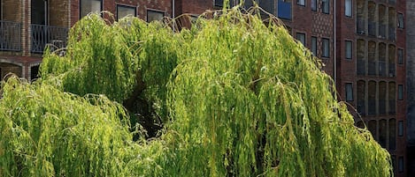 Petra Double | Terrace/patio