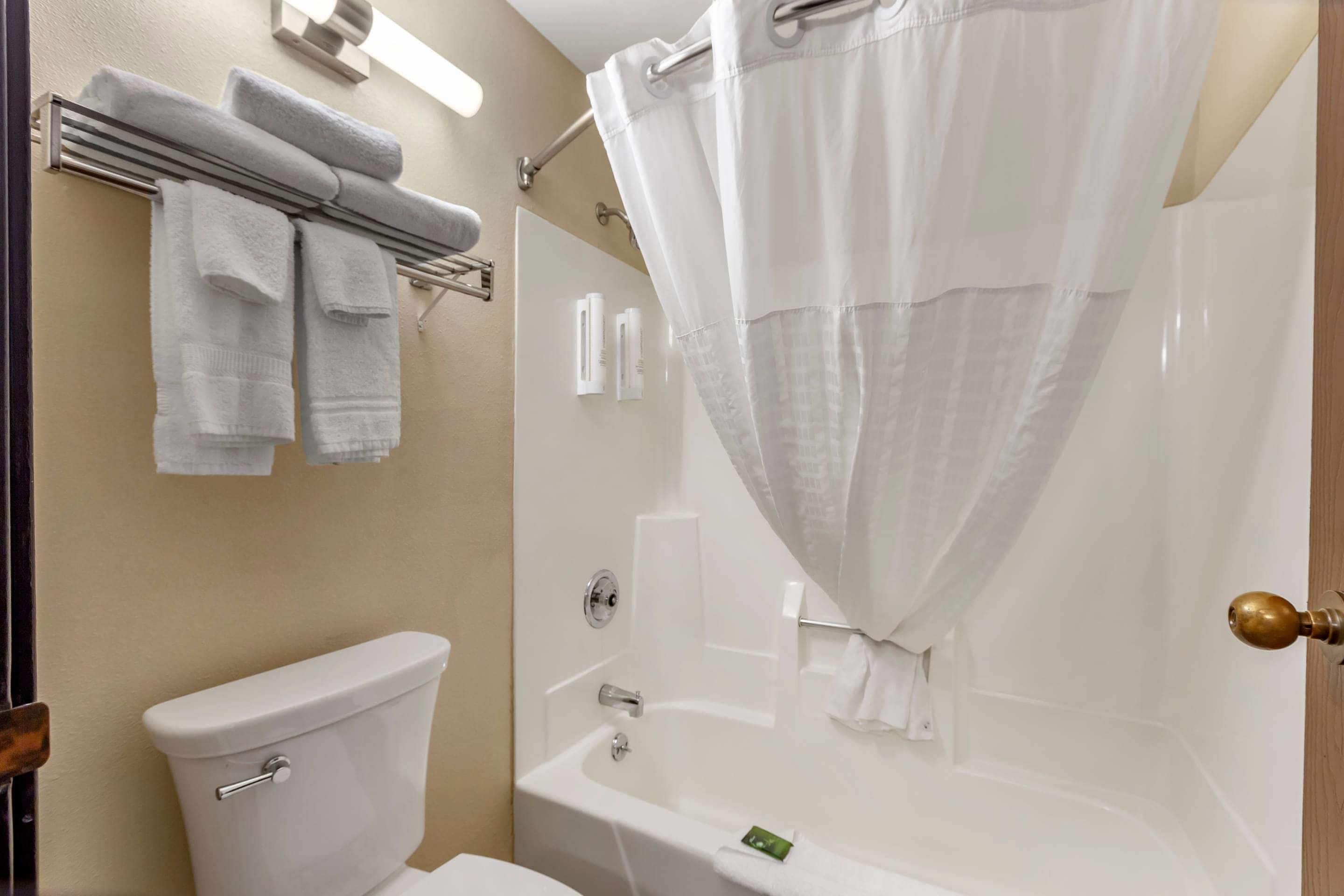 A bathroom with a toilet, a bathtub, and a shower curtain.