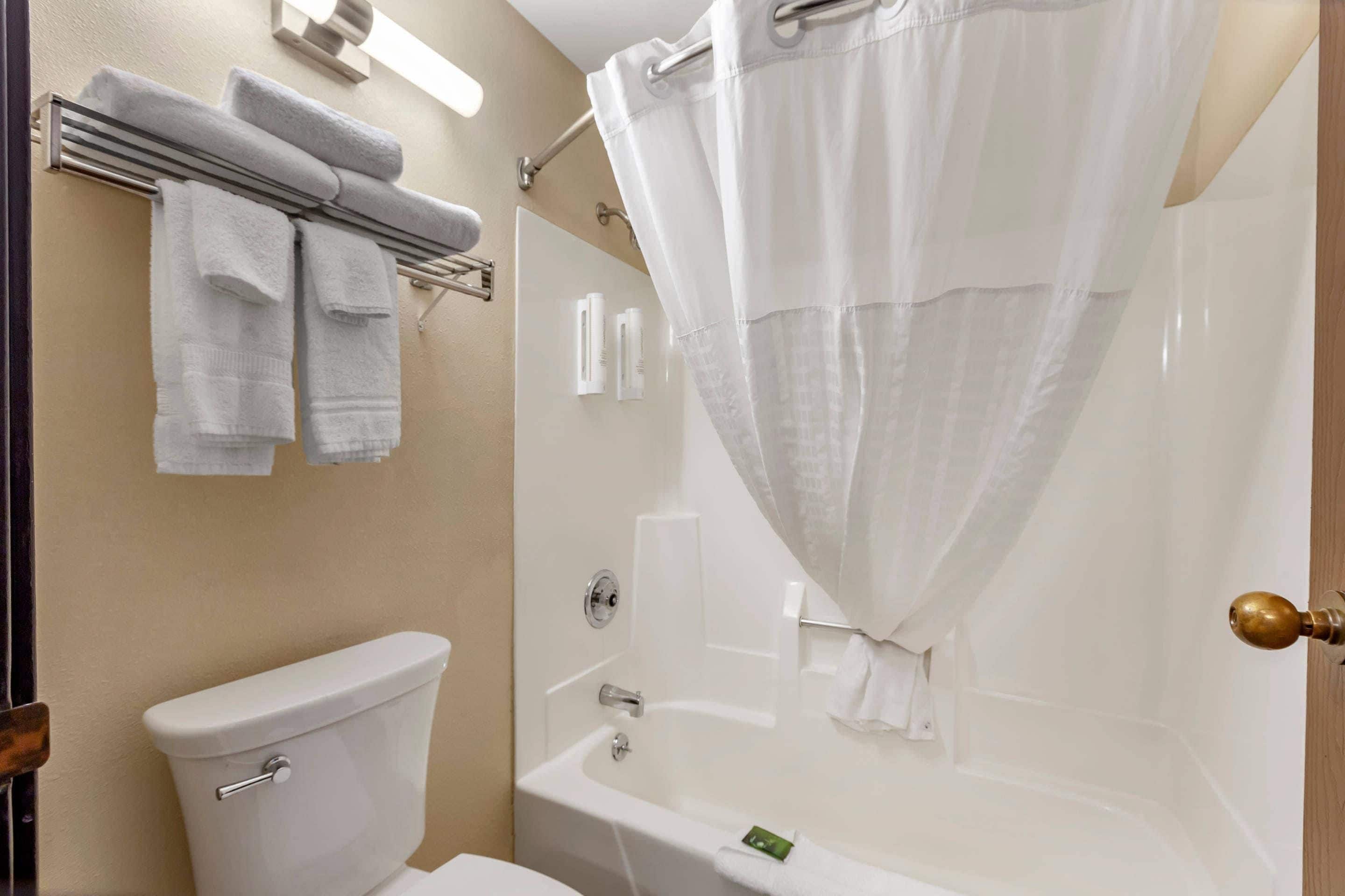 Une salle de bain équipée de toilettes, d’une baignoire et d’un rideau de douche.