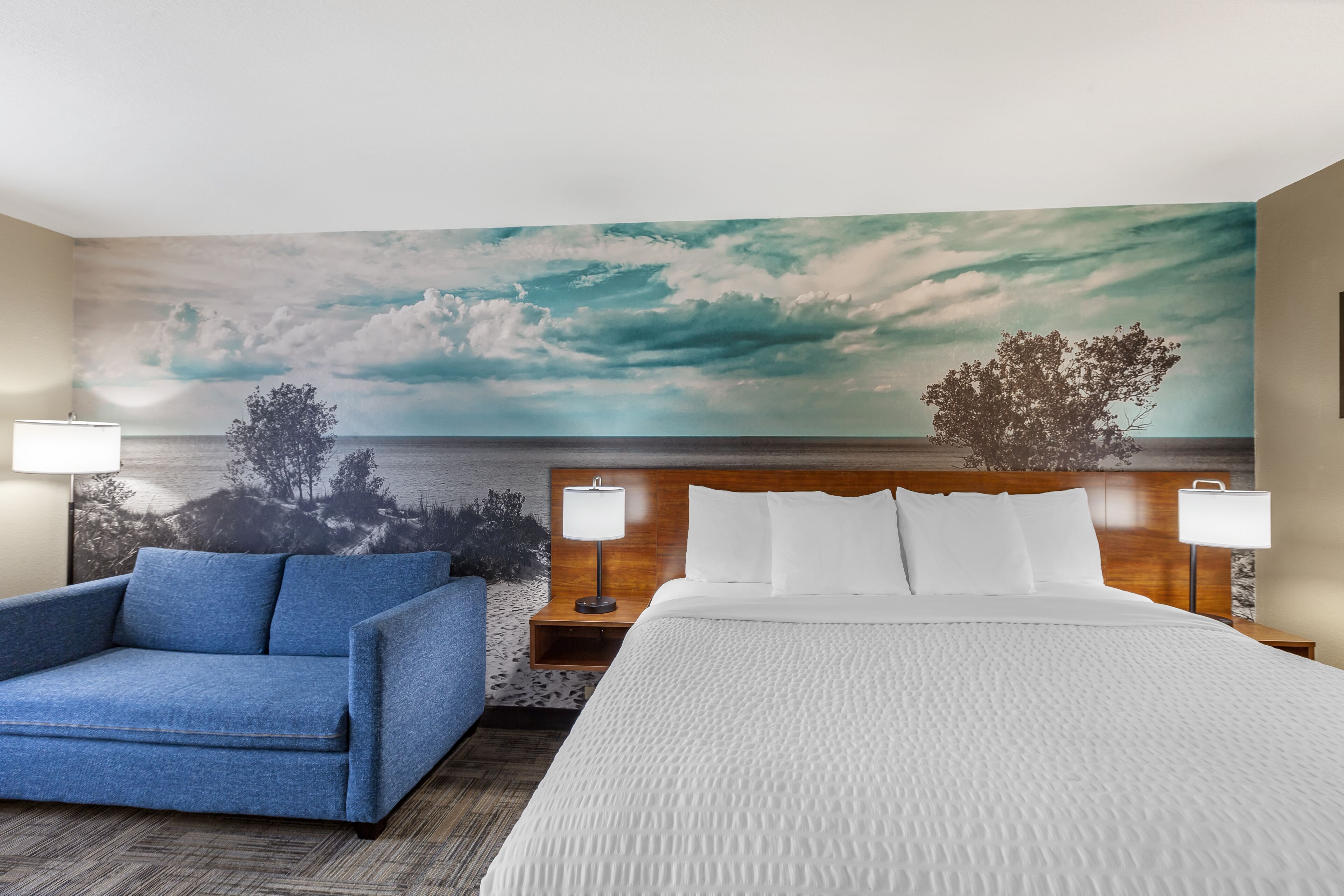 standard room, 1 king bed with sofa bed, non smoking | premium bedding, memory-foam beds, desk, blackout curtains