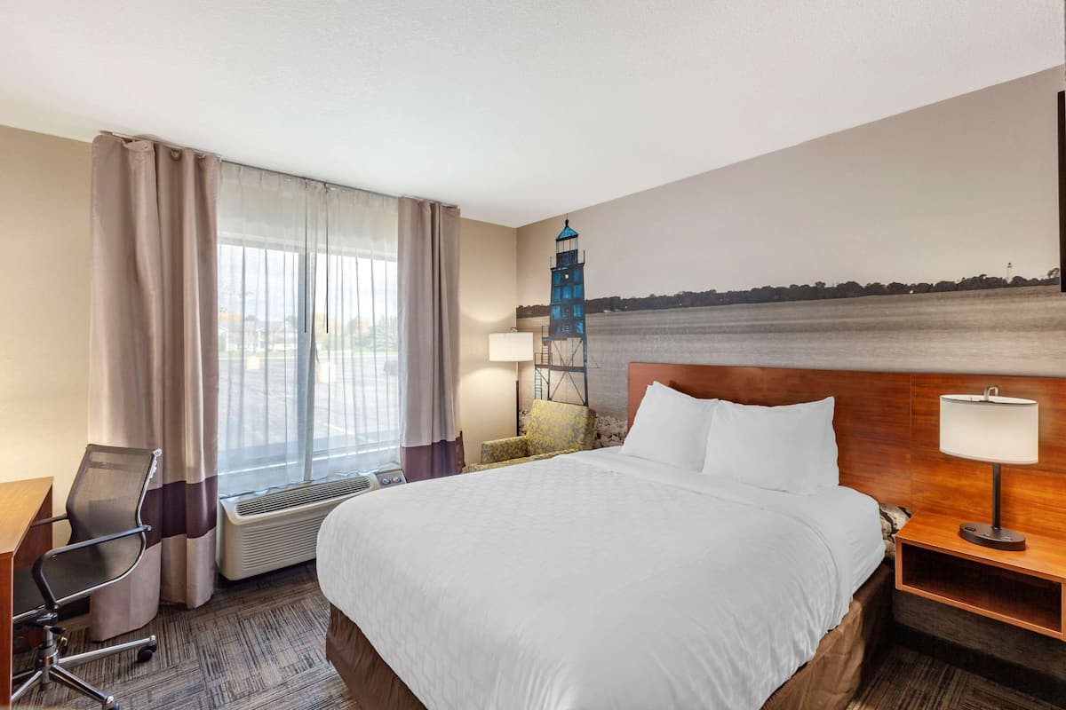 Chambre, 1 grand lit, accessible aux personnes à mobilité réduite, non-fumeur
