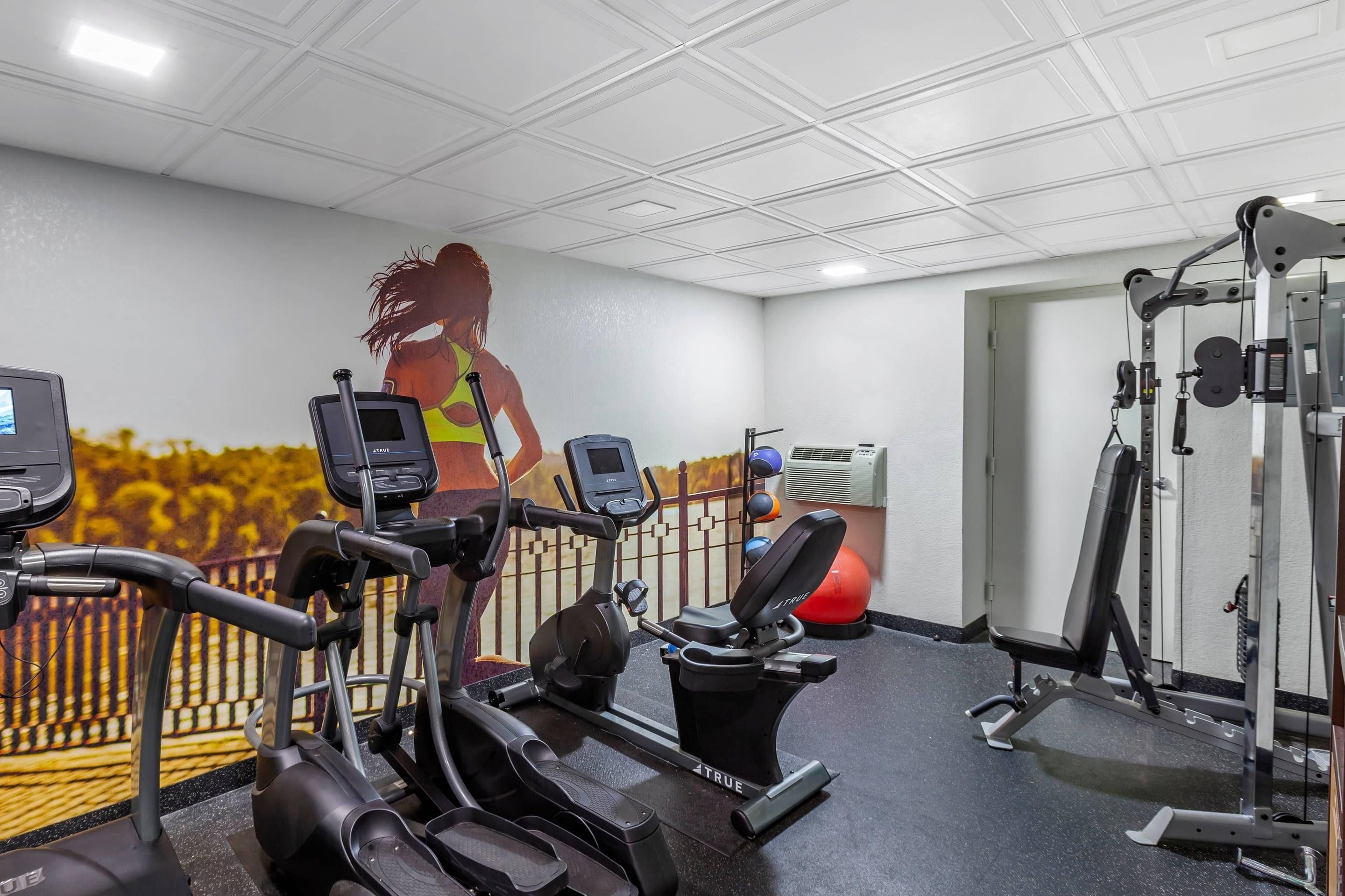 A gym with exercise equipment, a wall mural, and a door.
