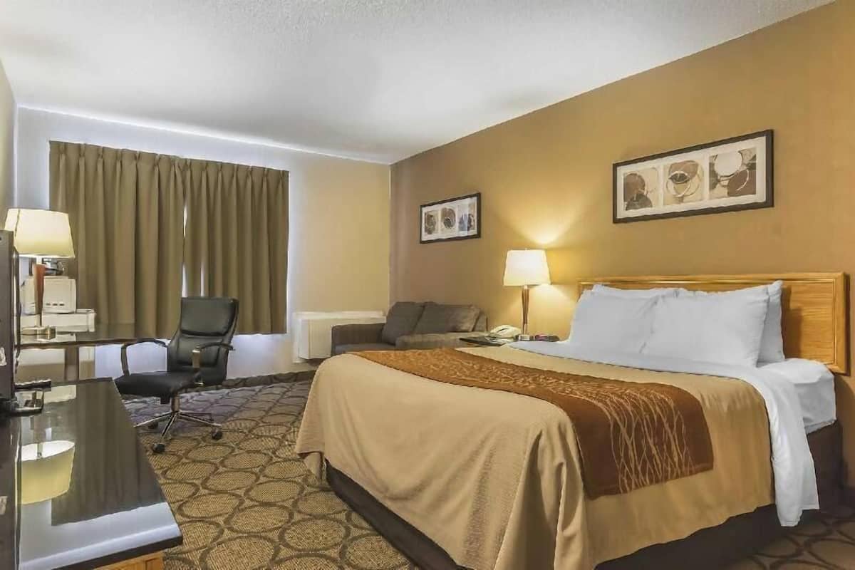 Desk, iron/ironing board, free WiFi, bed sheets